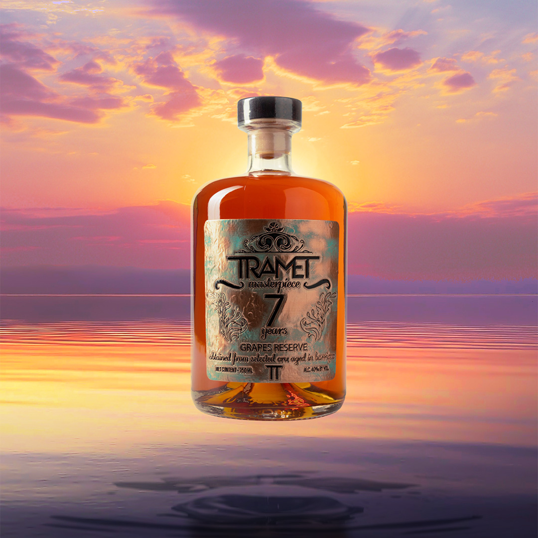 sofusi portfolio tramet 01