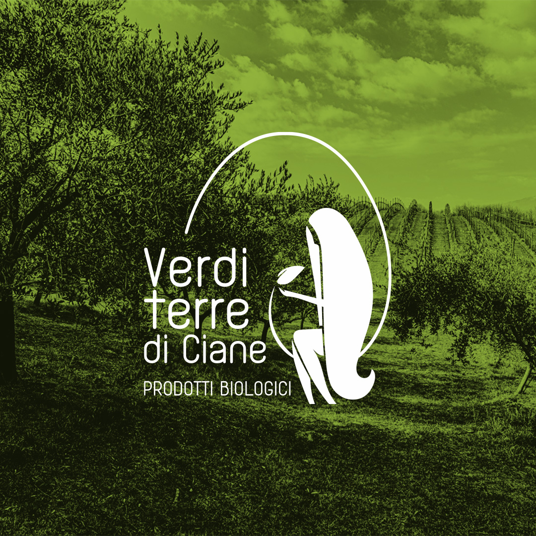 sofusi portfolio verditerrediciane